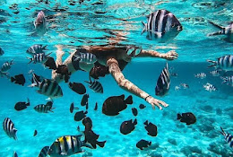Tumbatu Island Snorkeling